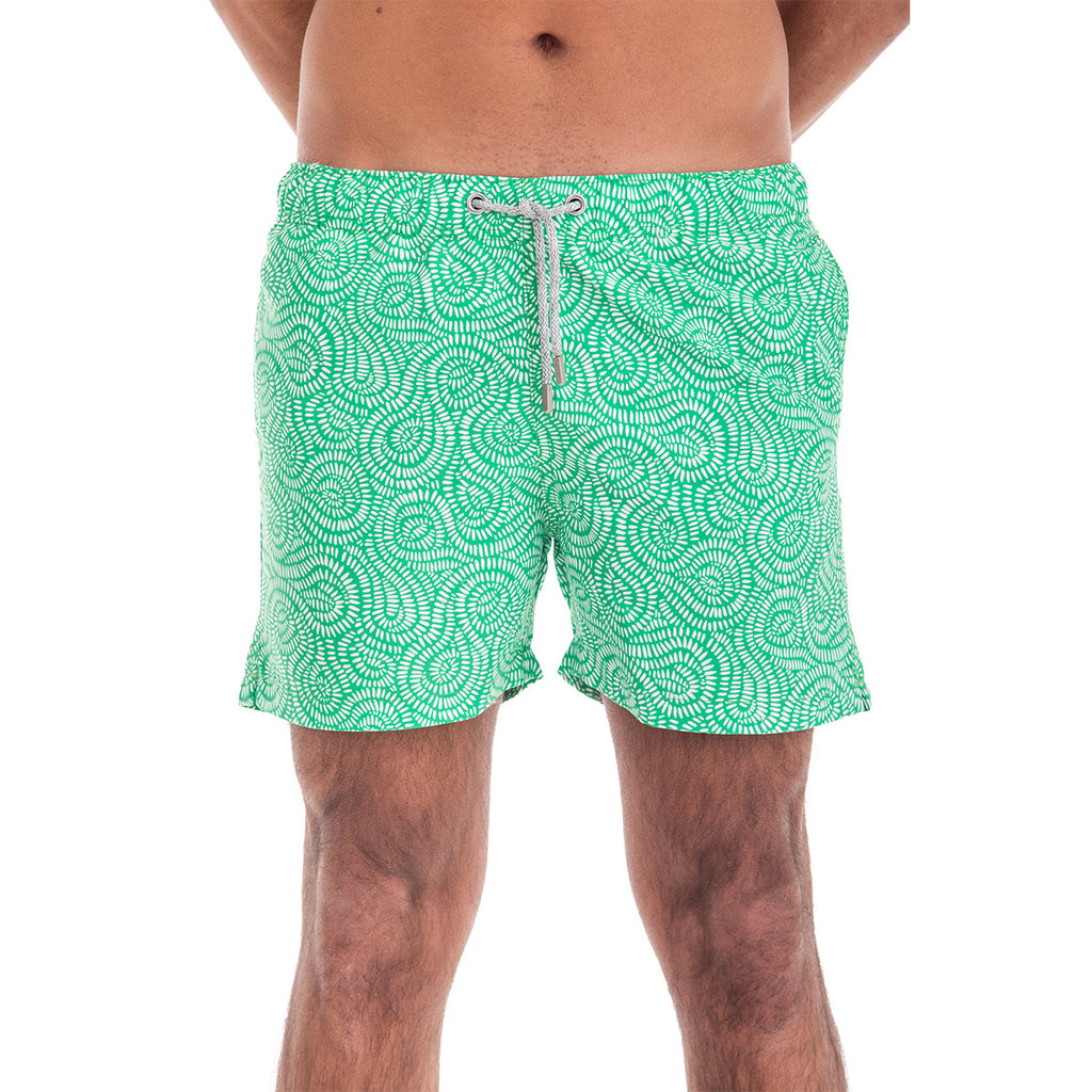 Kai Collection Green Haze Swim Shorts